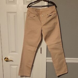 Ann Taylor Loft Beige Trousers